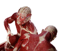 200x175.jpg