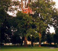 200x175.jpg