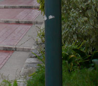 200x175.jpg