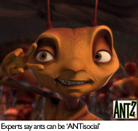 200x190.jpg
