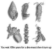 200x190.jpg