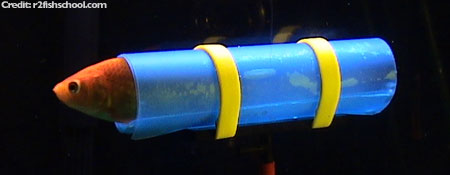 200x175.jpg
