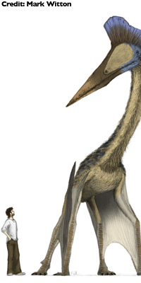 200x190.jpg
