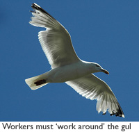 200x190.jpg