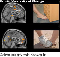 200x190.jpg