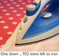 Ironman breaks endurance ironing record