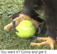 200x190.jpg