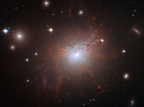 200x190.jpg