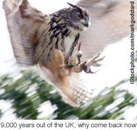 200x190.jpg