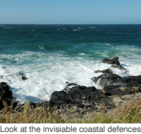Invisibility cloak could protect from Tsunami