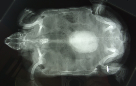 200x190.jpg