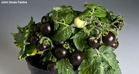 200x190.jpg