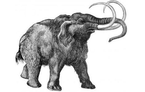 200x190.jpg