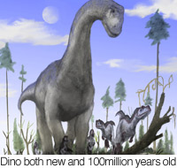 200x190.jpg