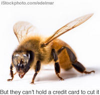 200x190.jpg
