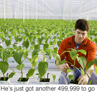 200x190.jpg