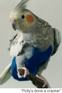 200x190.jpg