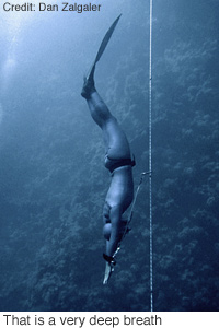 200x190.jpg