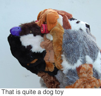 200x190.jpg