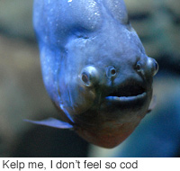 200x190.jpg