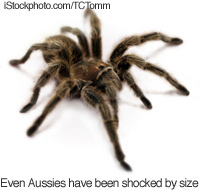 200x190.jpg