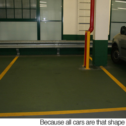275x250.jpg