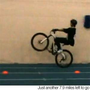 275x250.jpg
